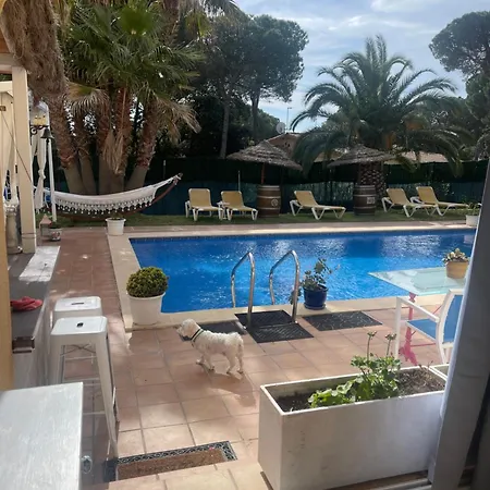 Petit Fleurs Con Piscina Y Patio *