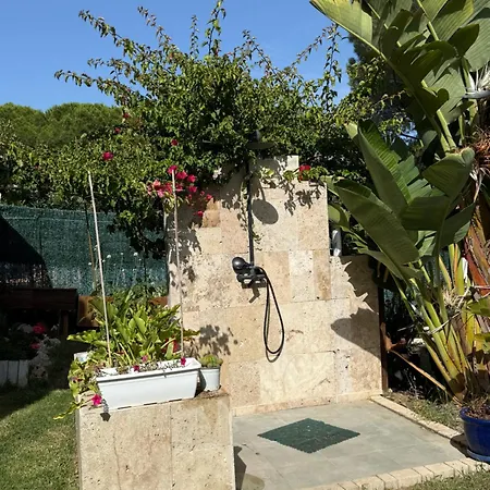 Le Petit Calonge (Catalonia)