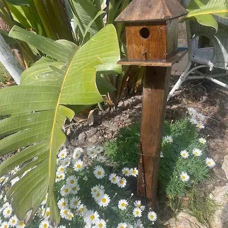 Petit Fleurs Con Piscina Y Patio Country house *