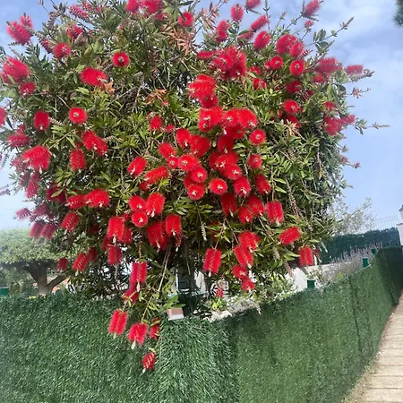 Petit Fleurs Con Piscina Y Patio